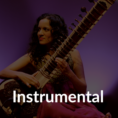  Instrumental Image'